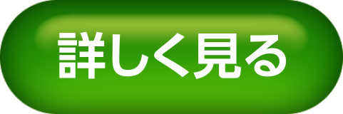 詳しく見る