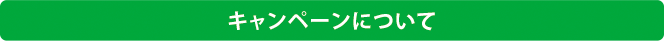 キャンペーンについて