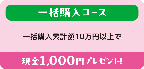 一括購入コース