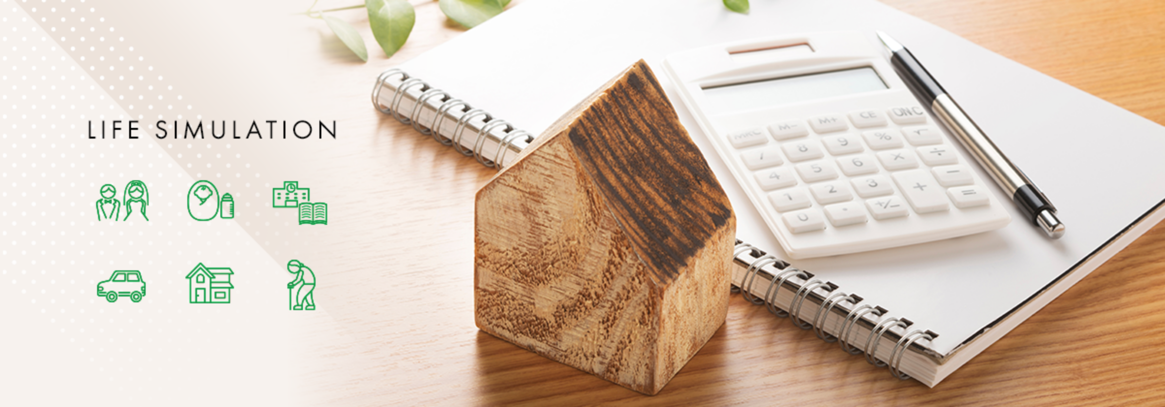 LIFE SIMULATION
